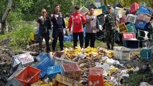 Riau Quarantine Destroys 25.9 Tons Of Illegal Mangga From Thailand