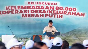 Prabowo 3 Kali Perintahkan Kapolri-Jaksa Agung Tindak Pengoplos Beras