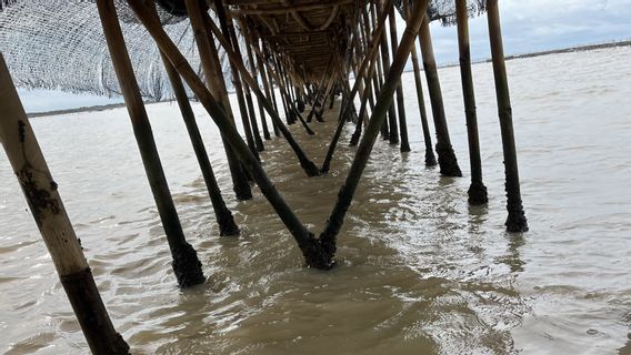 Nelayan Sebut Sejumlah Kades Berikan Izin Pembangunan Pagar Laut Tangerang