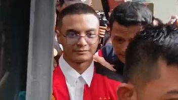 Ketemu Nikita Mirzani di Sidang, Vadel Badjideh Akui Jadi Penantian Sejak Lama