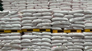Pupuk Indonesia Kebut Penyaluran Pupuk Subsidi hingga Akhir 2025