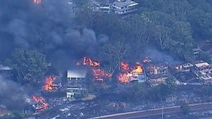 Ribuan Warga New South Wales Diperintahkan Mengungsi karena Kebakaran Hutan