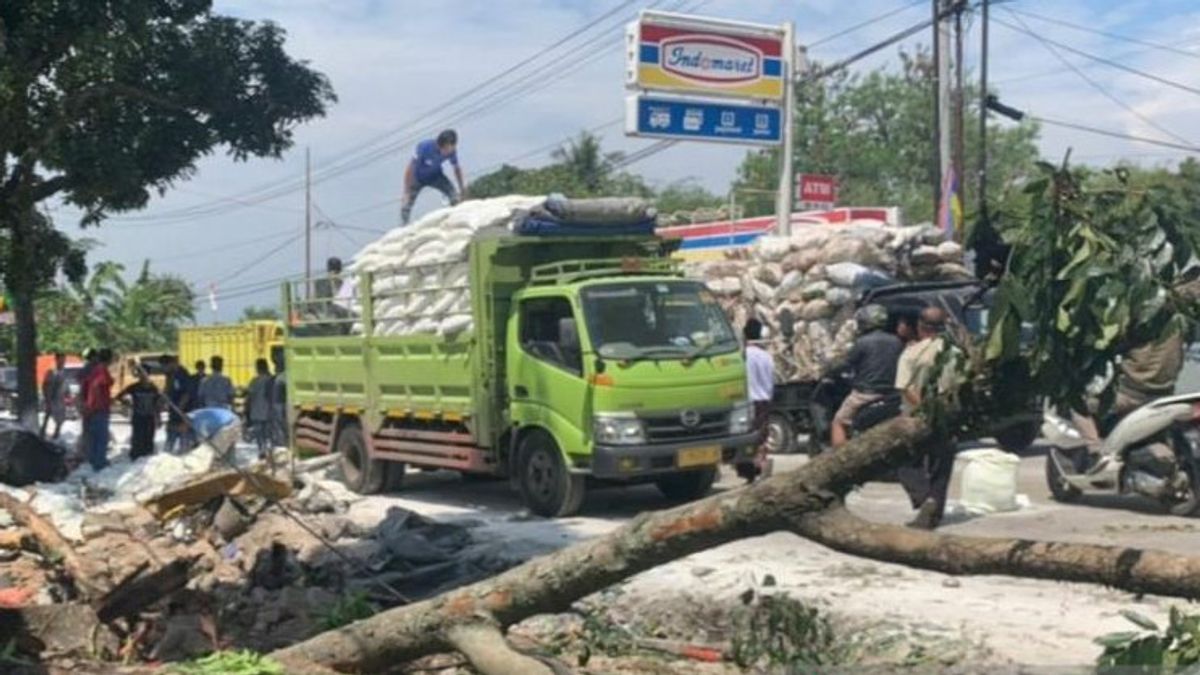 Korban Tewas Akibat Kecelakaan Jalur Sukabumi-Cianjur Jadi 6 Orang, Polisi Akui Belum Temukan Semua Kartu Identitas Korban