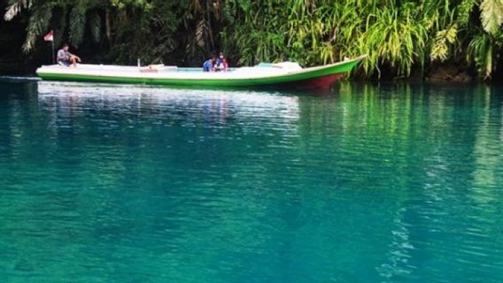 Grand Crocodile De 4,7 Mètres Capturé Dans Le Lac Labuan Cermin, Berau, Kalimantan Oriental