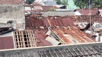 Marak Pohon Tumbang, BPBD Ingatkan Potensi Angin Kencang Masih Terjadi di Banyumas 