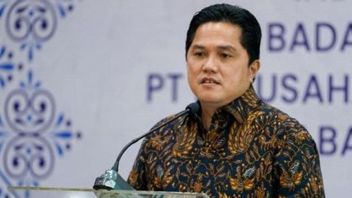 Estimating The Aviation Industry To Return To Normal In 8 Months, Erick Thohir: Signs That 400 Aircraft Fleet Are Operating