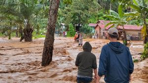 Korban Tewas Longsor Banjir di Sumut Tembus 25 Orang, Situasi Memburuk