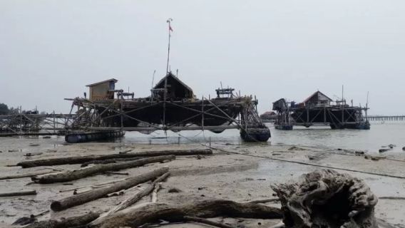 Hundreds Of Kelong Floating Equipment For Riau Islands Fishermen Search In Inevitable Lips Of The Coast Imbas Bad Weather