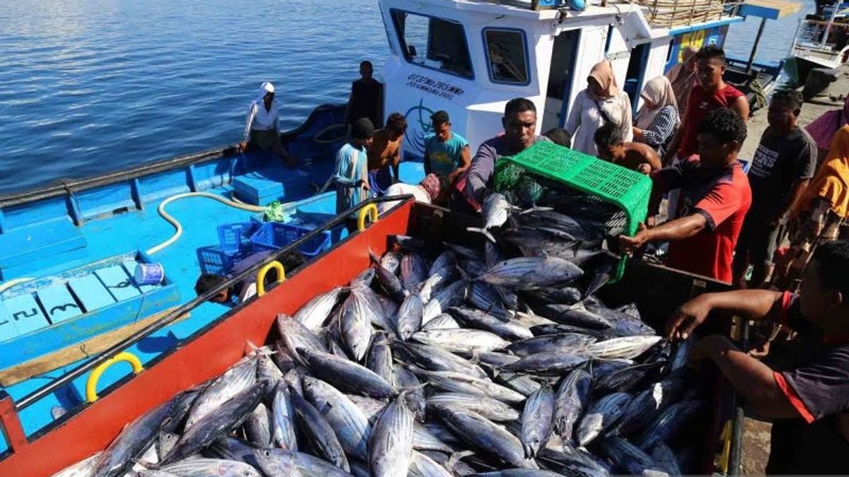 تحسبا للركود العالمي في عام 2023 ، ستقوم KKP بتصدير 500 طن من الأسماك إلى المملكة العربية السعودية