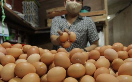 Harga Telur Ayam Bisa Capai Rp53 Ribu per Papan, Disperindag Batam Siapkan Pasokan dari Payakumbuh