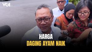 Menko Pangan Zulhas Respons Harga Daging Ayam Melonjak, Dikeluhkan Emak-emak