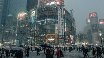 Jepang Mulai Penelitian untuk Hasilkan Listrik dari Salju