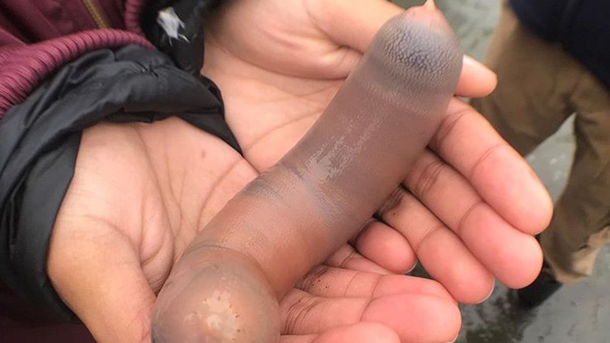 Storm So Cause Thousands Of Penis Fish Strewn On California Beach