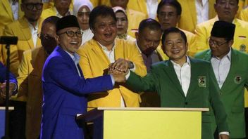 Golkar Firmly Pushes Airlangga For 2024 Presidential Candidate, PAN: Zulhas Has The Same Opportunity To Be Carried By KIB