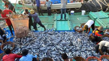 الأرصدة السمكية في باندا آتشيه تنفد بسبب سوء الأحوال الجوية