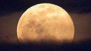 Apa Itu Worm Moon? Fenomena 7 Maret yang Hiasi Langit
