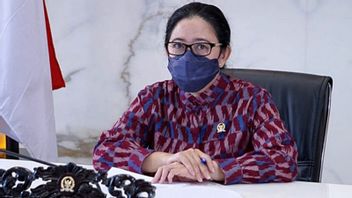 Realisasi Insentif Nakes Timpang Hingga 'Disunat,' Puan Maharani ke Pemda: Perlu Ditegur Dulu Atau...