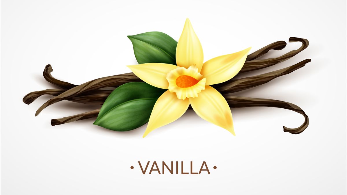 Vanili Asli Semakin Langka, Industri Makanan Andalkan Bahan Kimia