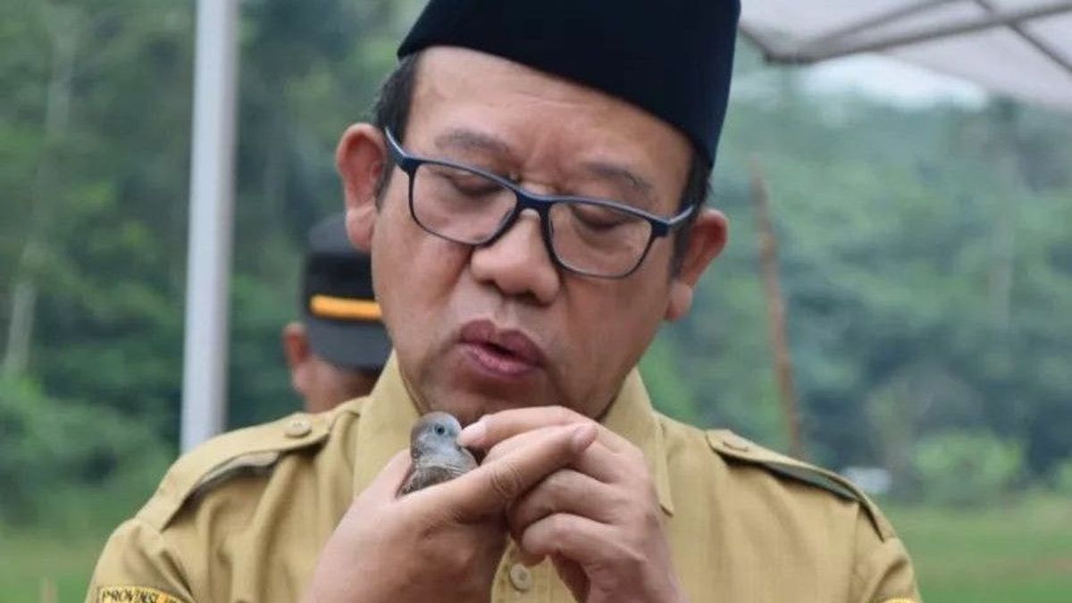 Profile Of Banyumas Regent Achmad Husein, PDIP Cadre Who Finds 3 UNSOED Maba Will Choose Anies Baswedan