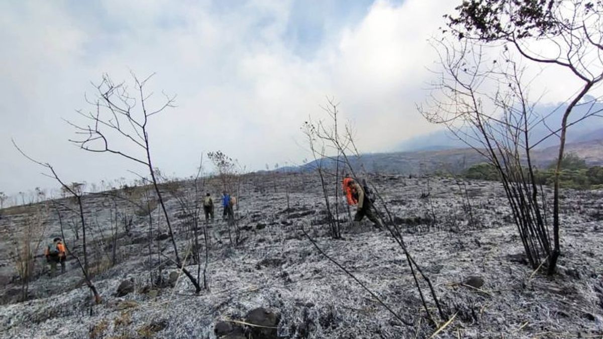 アルジュノ山の登山は森林火災のために閉鎖されました