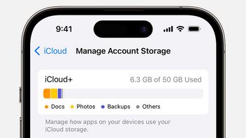 Here's How To Lower And Cancel ICloud Subscription Plans