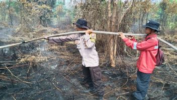 帕朗卡拉亚占地1.43公顷的森林和陆地火灾工作队