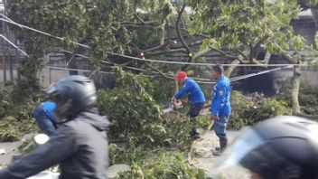 129 Rumah Rusak Akibat Angin Puting Beliung di Cimahi