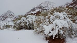 Bukan Fenomena, Pegunungan Tabuk Memang Tujuan Populer Warga Arab Saudi untuk Menikmati Salju Setiap Tahun