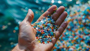 Studi Ungkap Minuman Populer Ini Paling Banyak Mengandung Mikroplastik