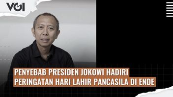 VIDEO VOI Today: The Cause Of President Jokowi Attending The Commemoration Of The Birthday Of Pancasila In Ende