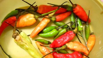 The Price Of Cayenne Pepper Crawls Up, Reaching IDR 45,000 Per Kilogram