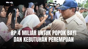 Presiden Prabowo Alokasikan Rp 4 Miliar untuk Popok Bayi dan Kebutuhan Perempuan Terdampak Bencana