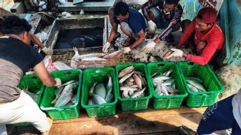 Gubernur Kepri Ingin Jadikan Natuna Lumbung Ikan Nasional