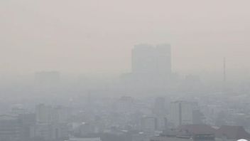 KLHK Tegaskan Polusi Udara di Jakarta Bukan Bersumber dari PLTU