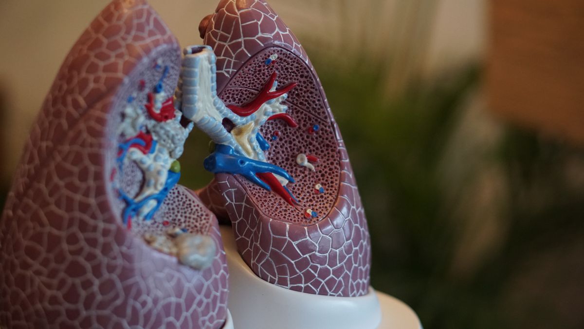 COVID-19对肺的影响
