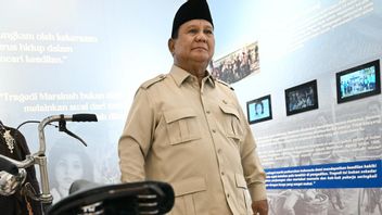 Prabowo Singgung Selat Hormuz Ditutup, Banyak Negara Panik, Indonesia Justru Diminta Kirim Pupuk