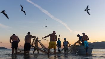 「非効率的な政策」、委員会IVは、漁師が申請書を使用するために必須のソーラー補助金を購入することについて言った