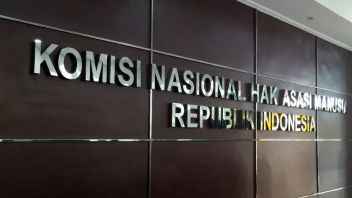 Dedi Mulyadi Beri Bansos Tapi Syaratnya Vasektomi, Komnas HAM: Paksa KB Saja Pelanggaran HAM!
