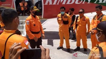 Kotak Hitam Rimbun Air Ditemukan, Sementara Tiga Jenazah Awak Pesawat Dievakuasi ke Timika