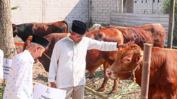 Baznas Jateng Mengolah 116 Sapi Kurban Jadi Kornet untuk Permudah Distribusi