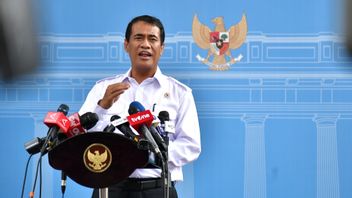 الأرز لديه فائض قدره 3.7 مليون طن ، وزير الزراعة: تحسين إنتاج أرض دونجكراك الرئيسية