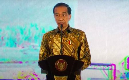 Alasan Jokowi Tunjuk Andi Amran Gantikan SYL: Beliau Dulunya Mentan, Jadi Tidak Usah Diajarin