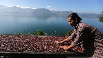 Indonesia Wins 45 Million Dollar Trade Contract From Australia For Coffee And Paper Commodities