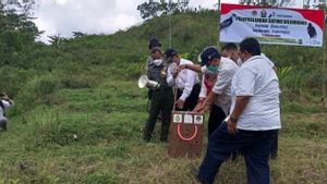 Berita DIY: BKSDA Yogyakarta Melepasliarkan Beberapa Jenis Burung Elang di Gunungkelir