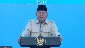 Presiden Mulai 13 Proyek Hilirisasi Rp116 Triliun: Jangan Cuma Jual Bahan Mentah