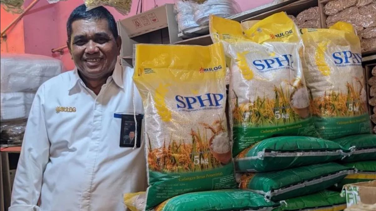 بيروم بولوغ سوموت مستعدة لبيع الأرز الحقيقي مرة أخرى