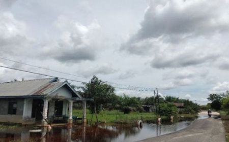 Curah Hujan Meningkat, BPBD Kobar Imbau Warga Waspada Ancaman Banjir