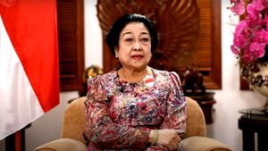 Suara Parau Megawati Menangis karena Jokowi Dihina Kodok