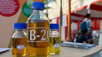 Tipis, le prix de l’indice de marché du biodiesel en août 2024 fixé à IDR 12 382 par litre