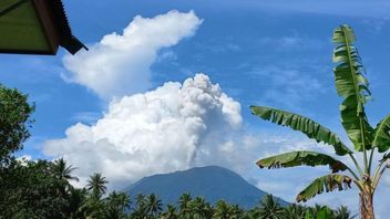 Mount Ibu Halmahera Launches Abu As High As 1,000 Meters